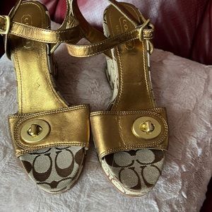 Coach platform wedges